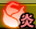 耐性：炎.png